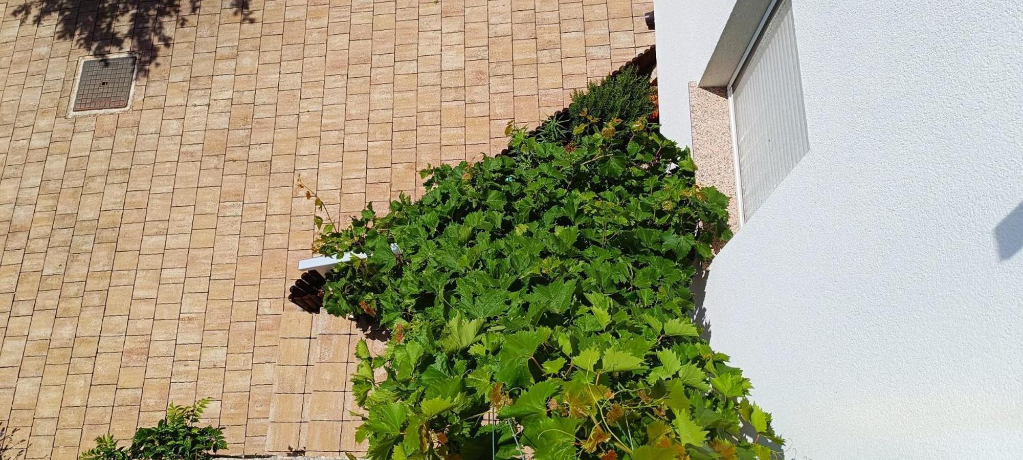 Apartmani Verde *